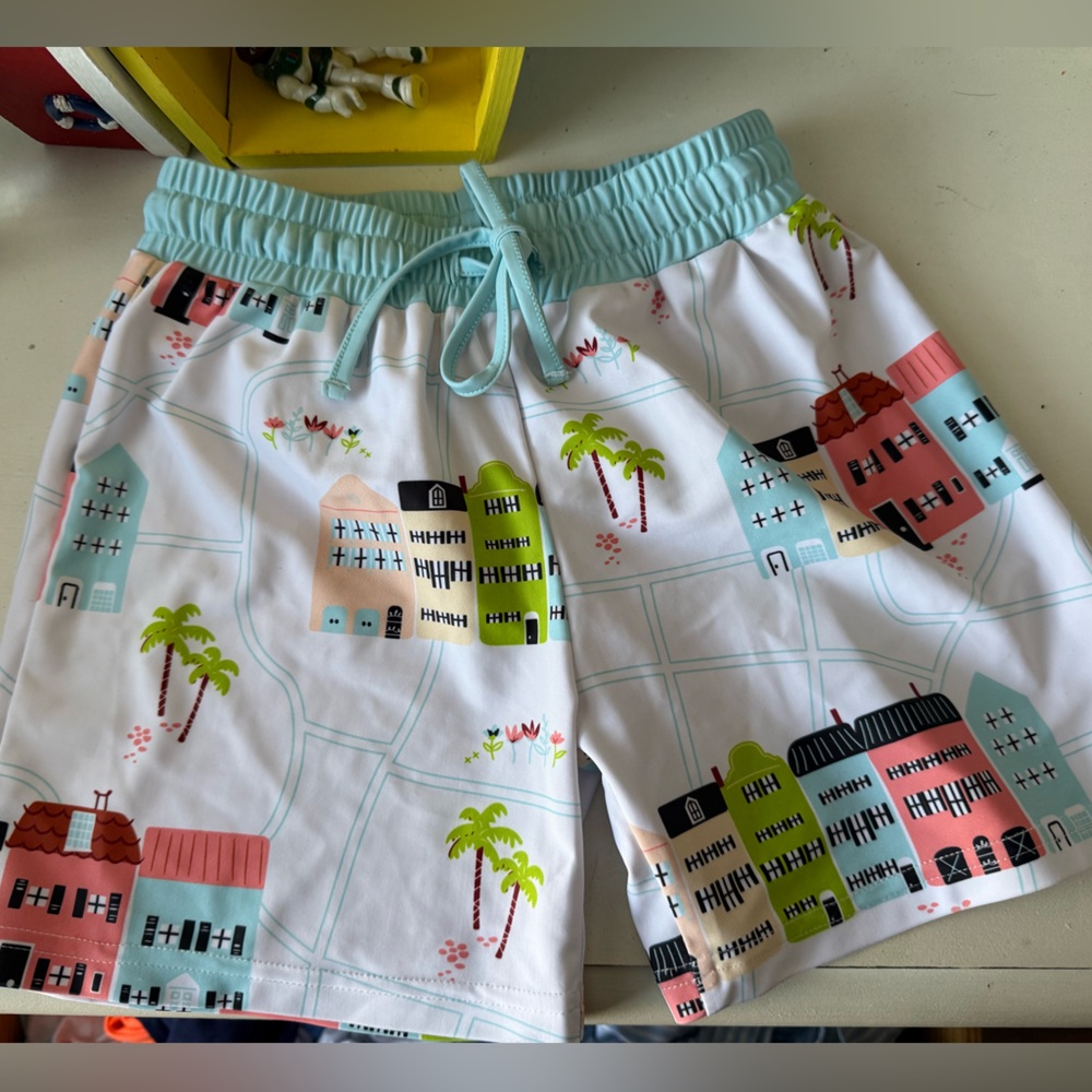 Charleston Rainbow Row Hybrid Swim trunks NWOT